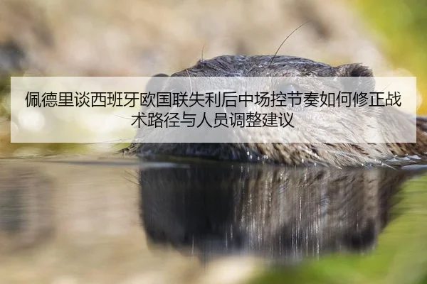 pei-de-li-tan-xi-ban-ya-ou-guo-lian-shi-li-hou-zhong-chang-kong-jie-zou-ru-he-xiu-zheng-zhan-shu-lu-jing-yu-ren-yuan-2-807.jpg